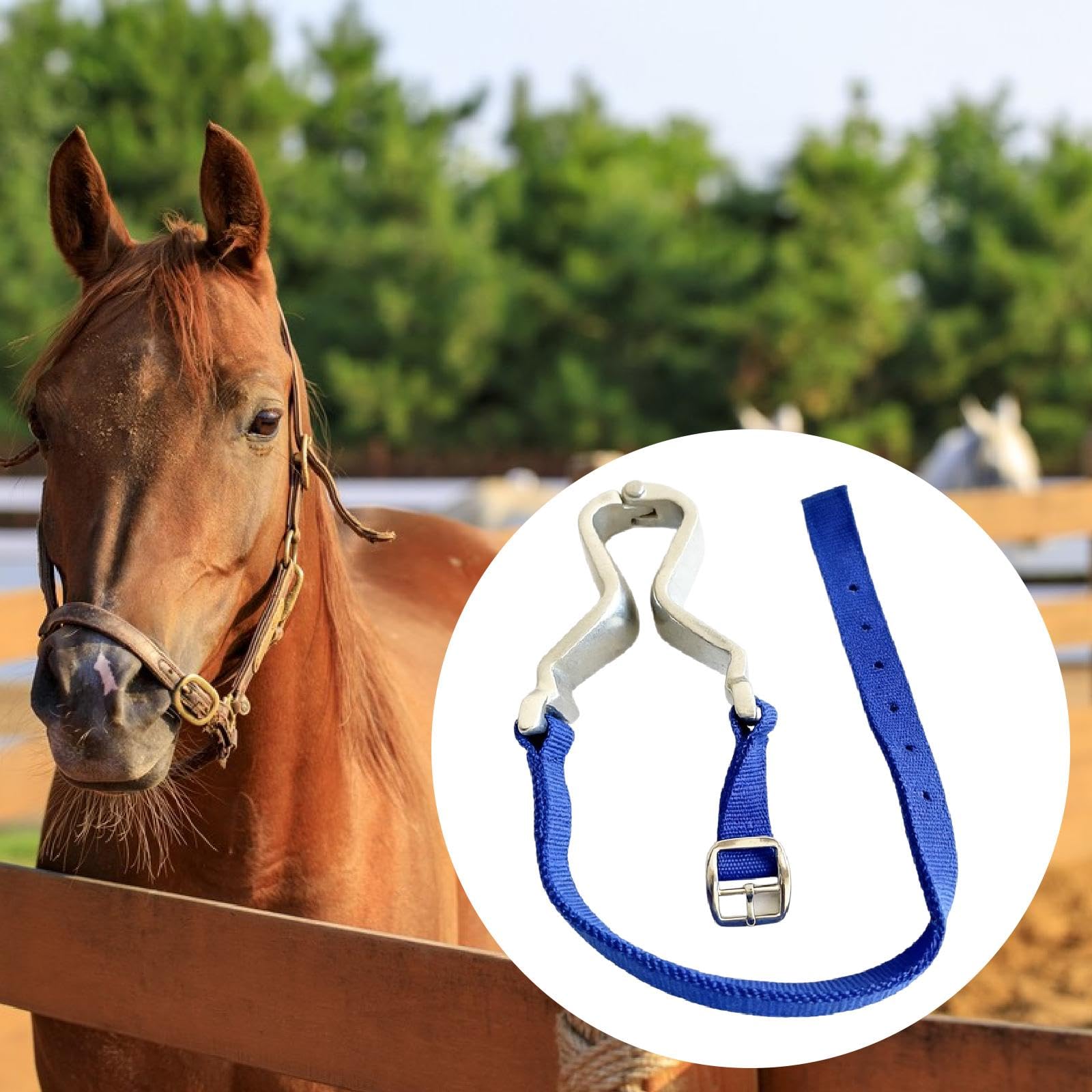Équipement de Maintien de la pour Chevaux, Accessoire équestre Ergonomique et Portable, Outil de Soin pour Le Travail à Pied et Le Travail en