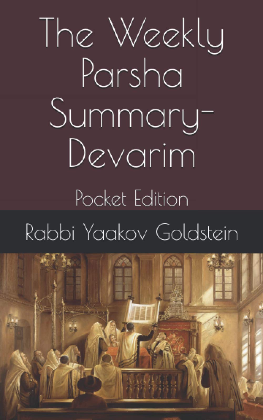 The Weekly Parsha Summary-Devarim: Pocket Edition: 9