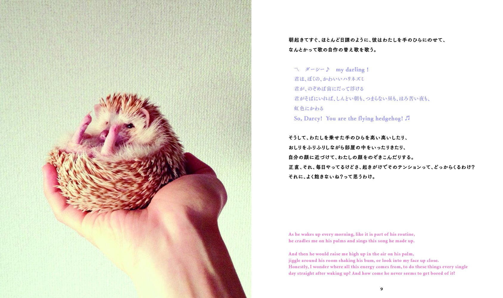 ぼくのかわいいハリネズミ ダーシー D Di 塚本翔太 本 通販 Amazon