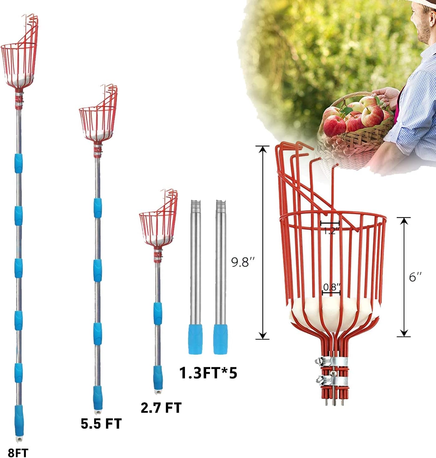 Fruit Picker Pole with Basket, 13 FT Adjustable Apple Picking Tools, Easy to Use Fruit Tree Picker for Lemon Mango Orange Pear Kiwi, Lightweight Stainless Steel Long Handle and Harvest Carrying Bag
