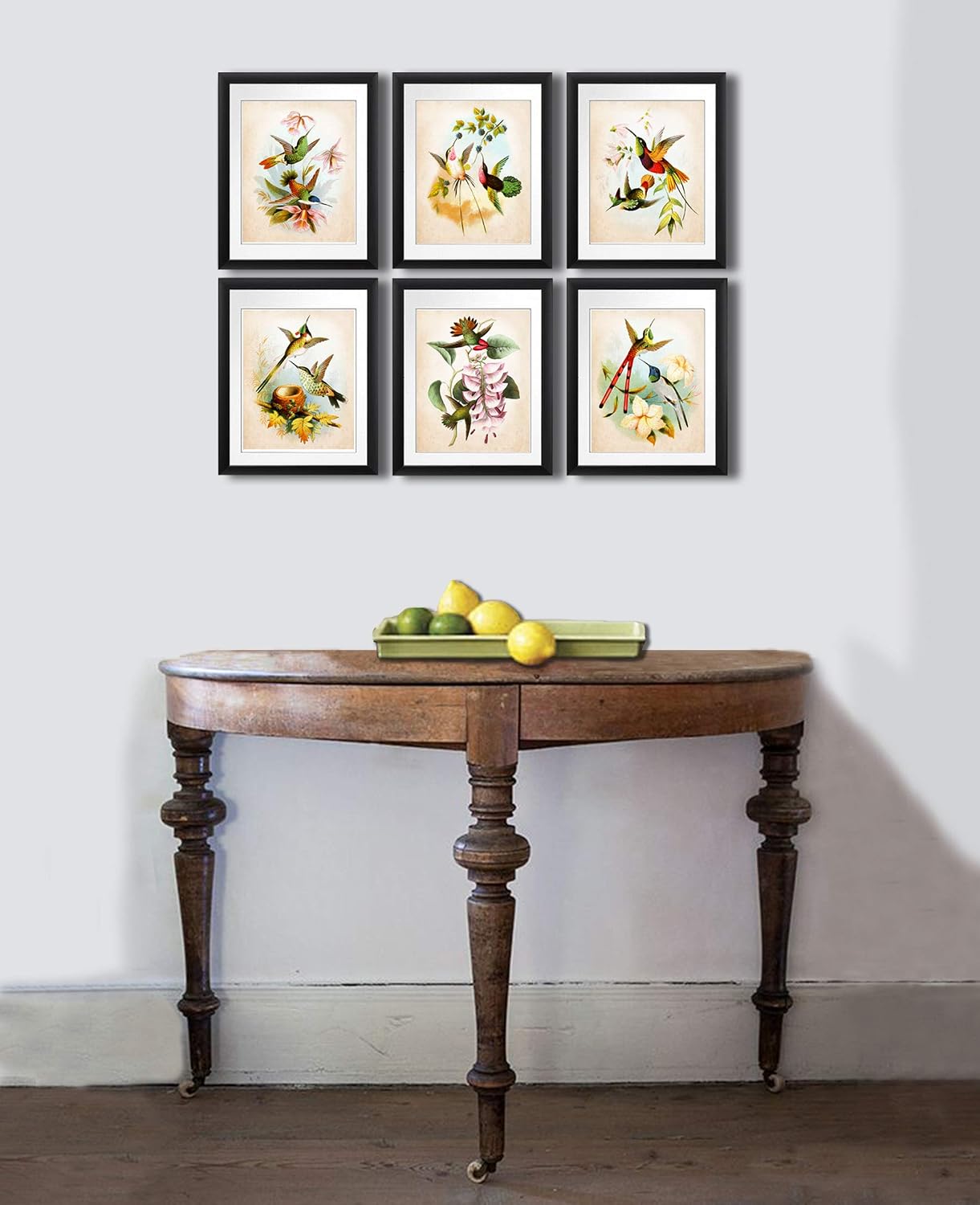 Hummingbird Art Print Set of 6 Unframed Birds Wall Decor