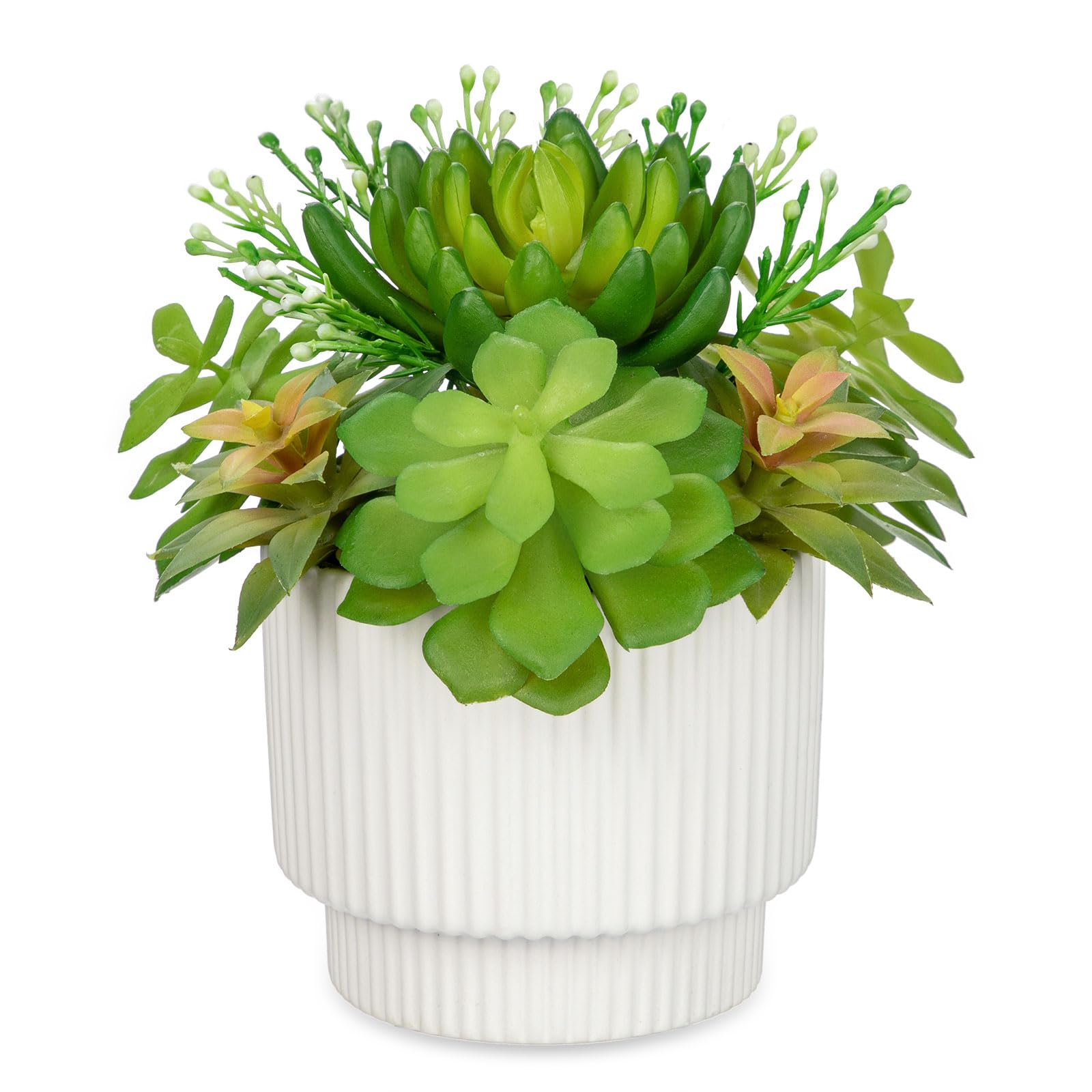 Succulents Plants Artificial in Ceramic Pots, 6" Multicolored Fake Succulents, Cute Plant Decor Includs Faux Plants & Flowers Indoor for Desk, Office, Livingroom, Vanity, Bathroom, Gift for men women