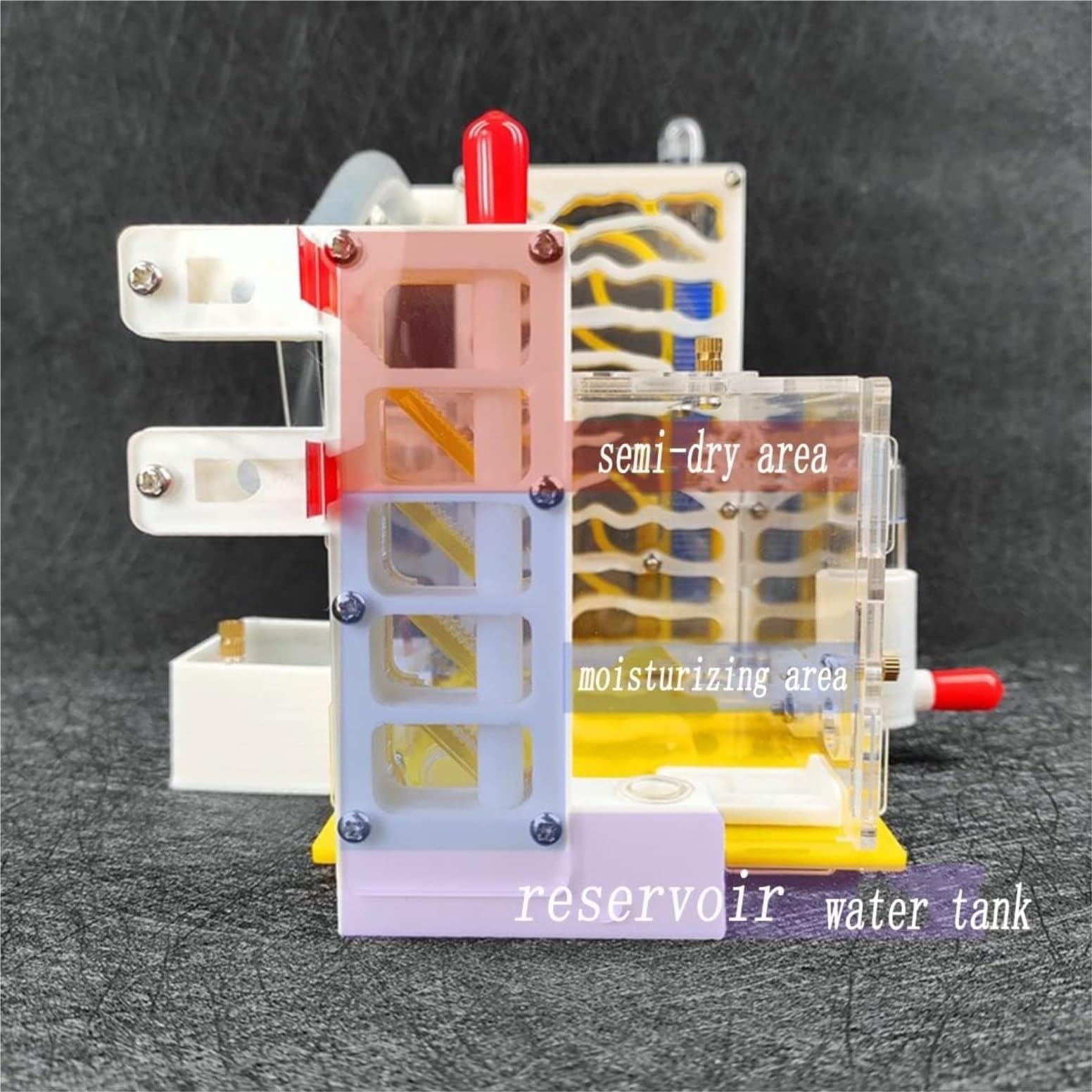 Formicaio Acrilico Trasparente Con Torre Dell'Acqua - Habitat Per Formiche Vive Con Accessori - Foto 3