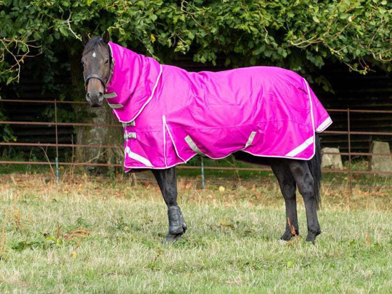 Swish Equestrian 100g Detachable Neck Turnout Rug - Mulberry