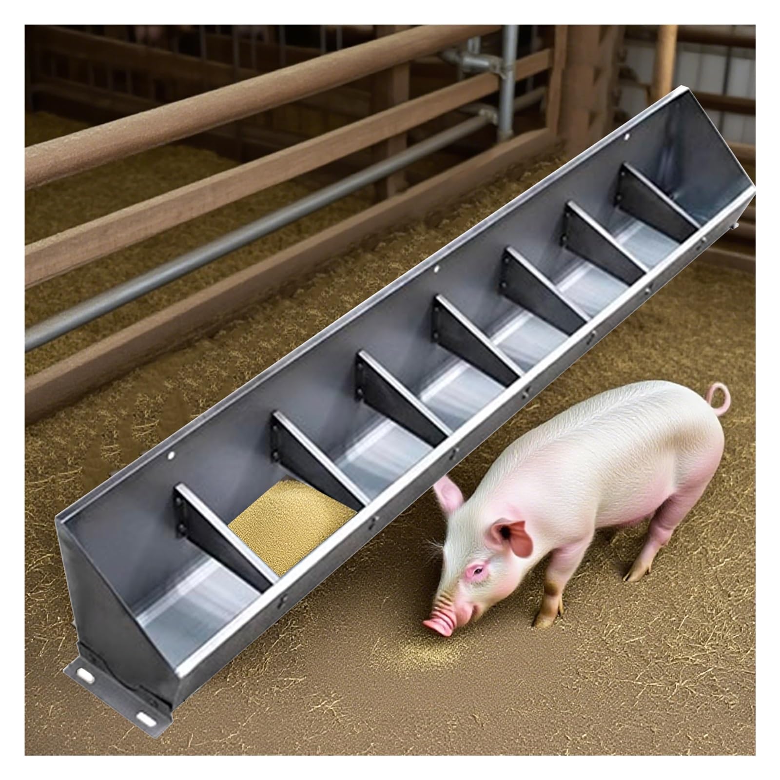 Mangeoire pour bétail anti-déversement avec séparateur de ration