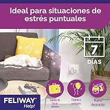 Ver la foto 4