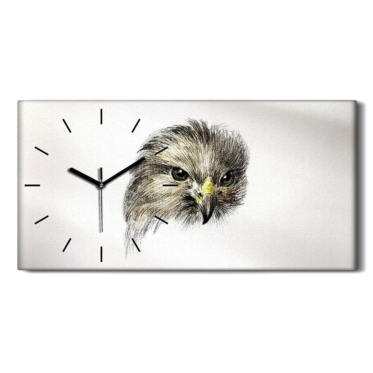 Horloge sur toile 60x30cm Coloray avec dessin oiseaux animaux