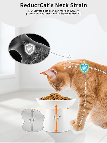 Miniatura 3 de LoeJan Juego de cuencos elevados de comida y agua para gatos, comedero de cerámica extra ancho y elevado para gatos, cuenco de alimentación