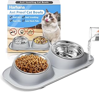 Ant Elevated Anti-Vomiting Cat Bowls