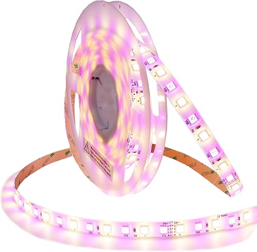 kit de iluminación de luces LED, 12 voltios, 24 voltios RGBW, 24.0 volts