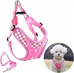 Harnais de chien avec jeu de laisse, Pas de traction réglable Étape dans avec respirant rembourré puppy Harnais pour les petits grands chiens moyenne marche et course (Gray, XS)