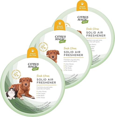 Citrus Magic Ambientador sĂłlido que absorbe olores de mascotas para el hogar purificador de aire cĂtricos frescos 8 onzas paquete de 3 Suministros Citrus Magic Ambientador sĂłlido que absorbe olores de mascotas para el hogar purificador de aire cĂtricos frescos 8 onzas paquete de 3 Suministros