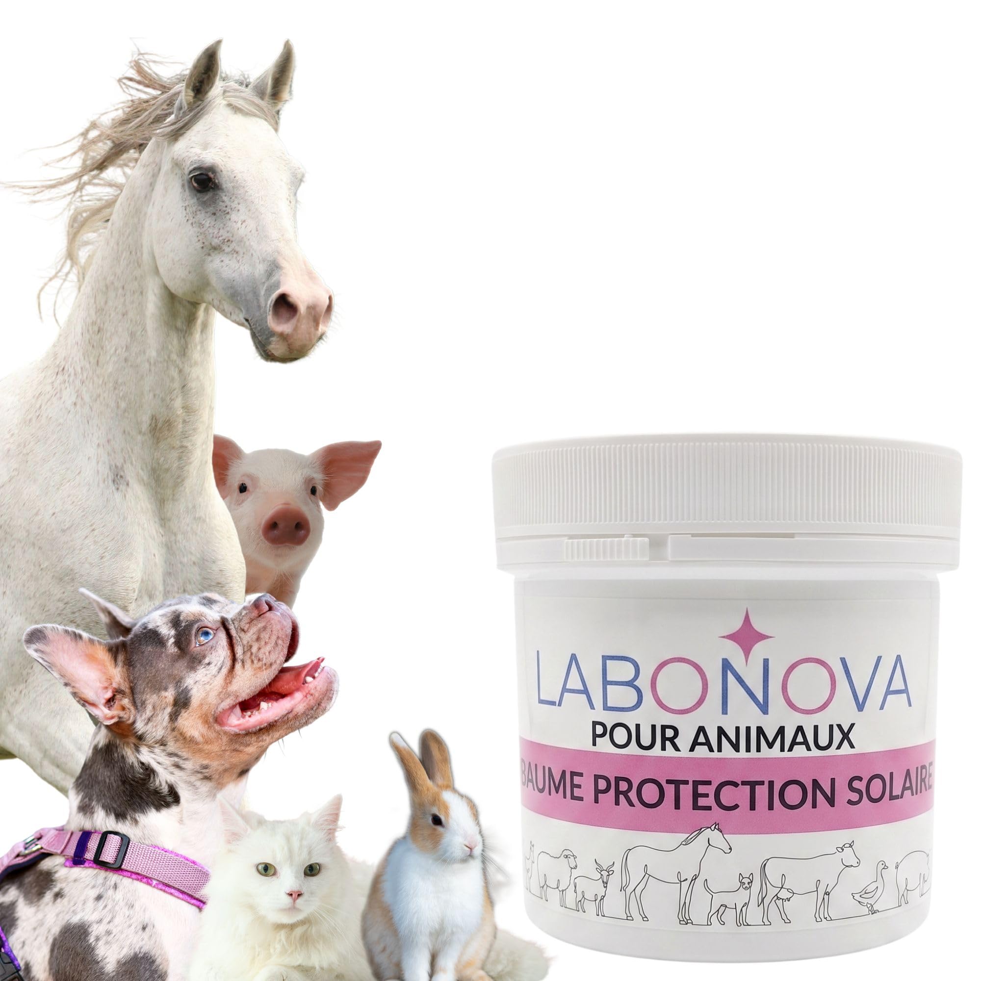 Crème Solaire minéral pour Animaux – Protection UV résistante à l’Eau – Chiens, Chats, Chevaux, Lapins et Autres Animaux