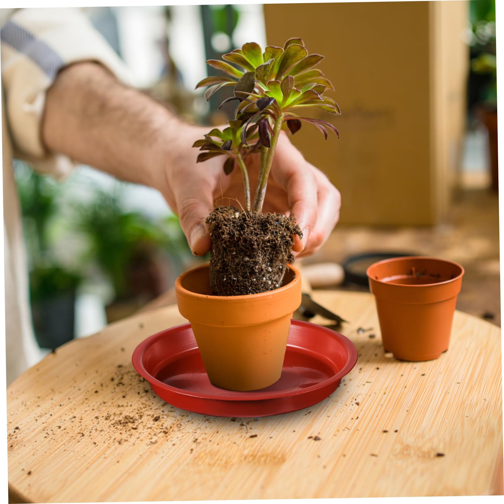 Happyyami 5 Pz Vassoi Per Vasi Per Piante Piatto Rotondo Per Vaso