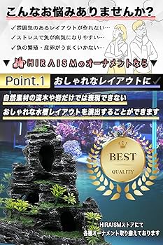 Amazon | HIRAISM アクアリウム オブジェ 岩 山 隠れ家 水槽