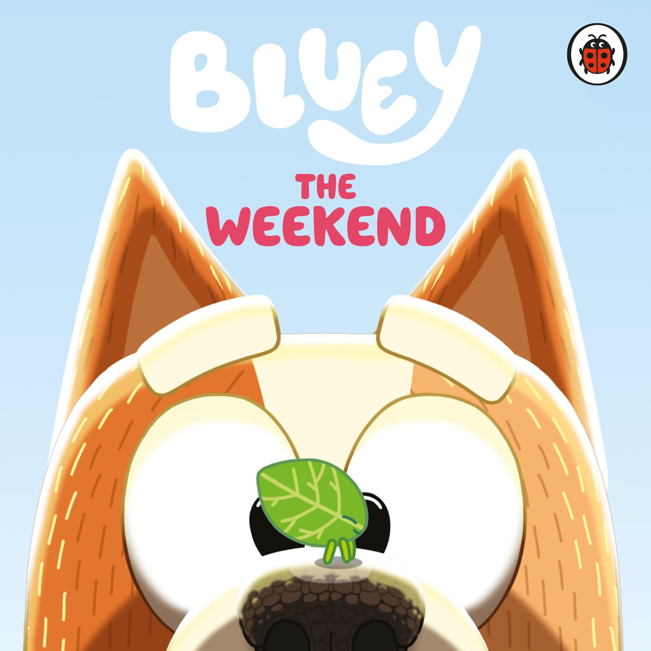 Bluey: The Weekend: A fun-filled board book