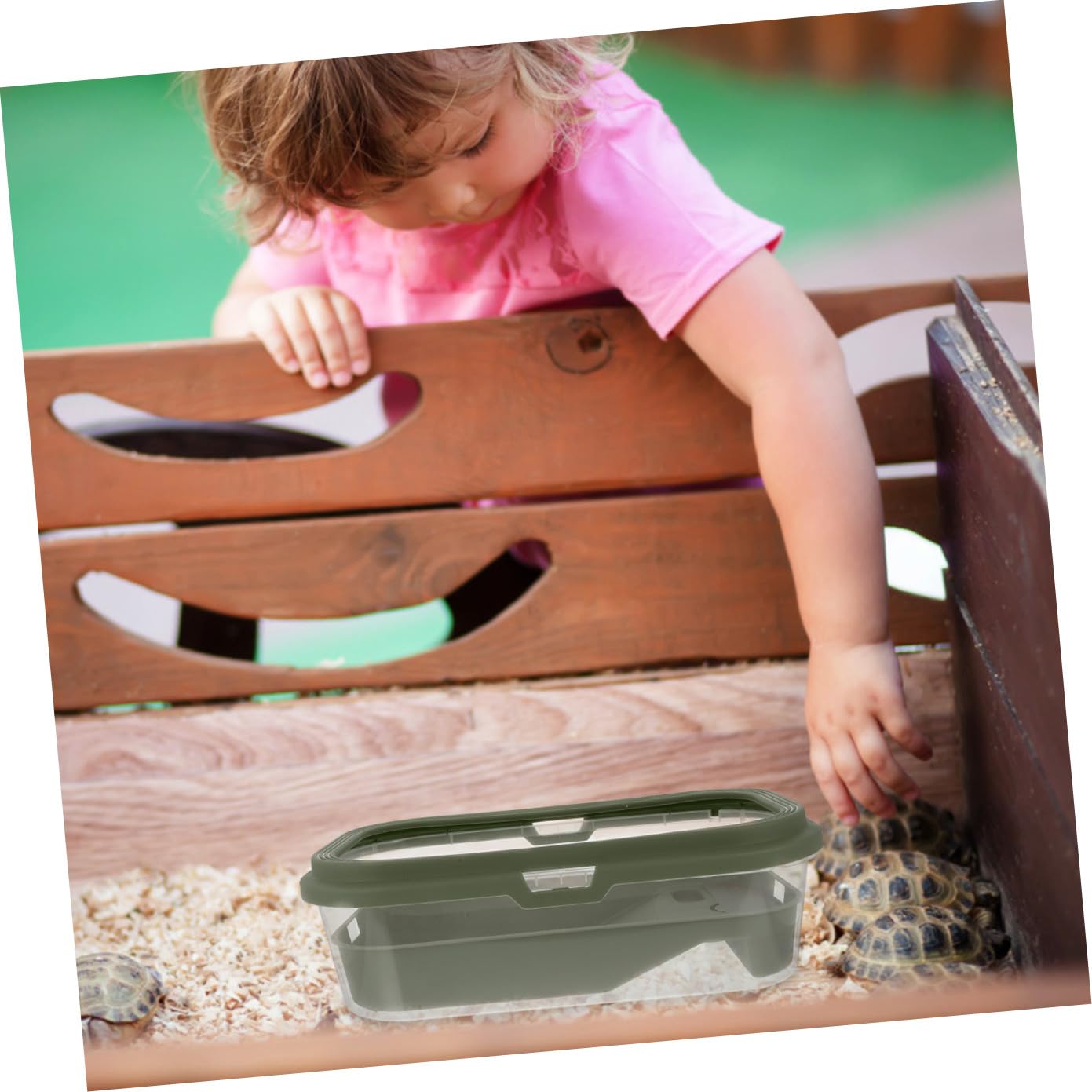 YARNOW Vasca per Tartarughe in Plastica Verde con Pedana e Cambio Acqua | Design Creativo, Uso Pratico Quotidiano, Facile da Pulire, Adatta a Tartarughe e Testuggini