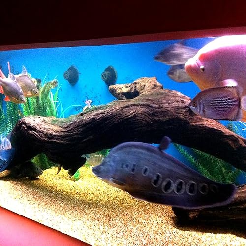 Miniatura 5 de Pond Armor Pintura epoxi no tóxica protectora para estanque SKU-Clear-QT-R, 1,5 cuarto de galón, transparente