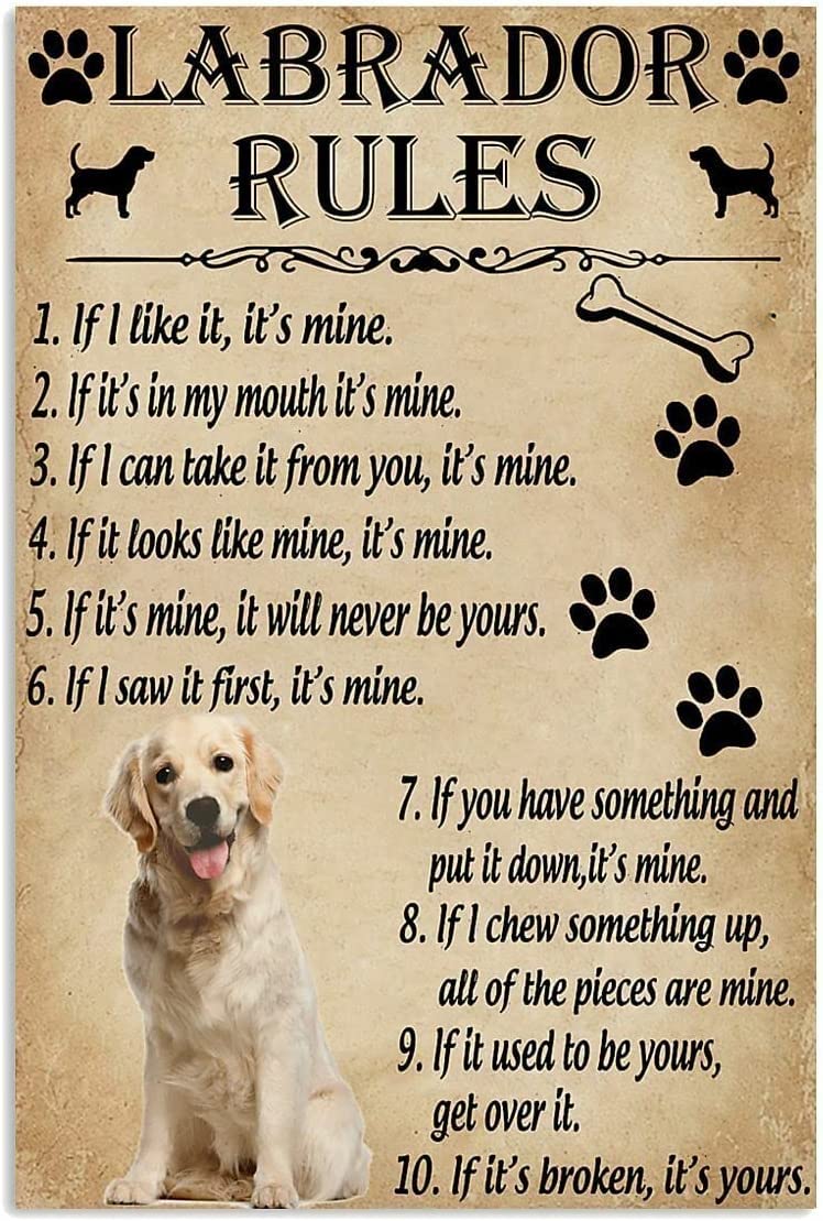 Vintage Metal Sign Labrador Rules Sign Vintage Funny Sign Retro Aluminum Tin Signs for Home Farm Garden Outdoor Garage 6x8 Inch
