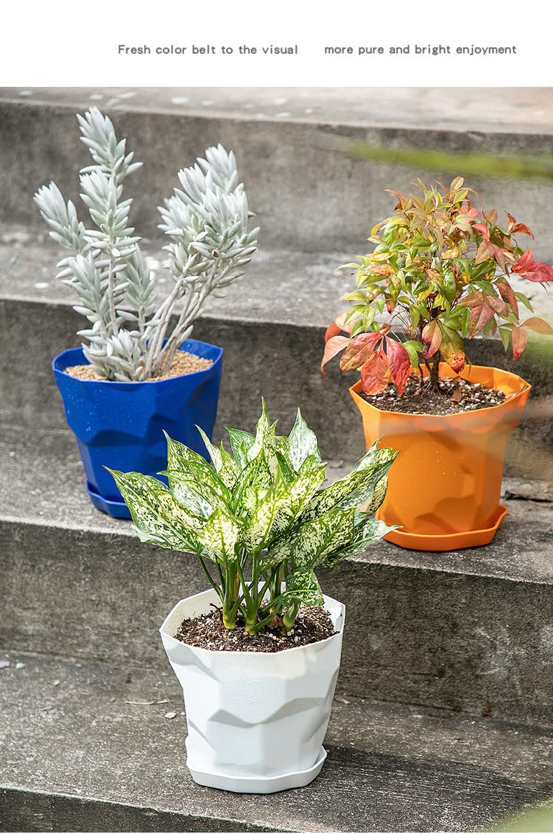 Lot de 5 pots de fleurs en plastique pour intérieur/extérieur - Style nordique - Avec support de base - Pour la maison, le bureau, les magasins - Blanc