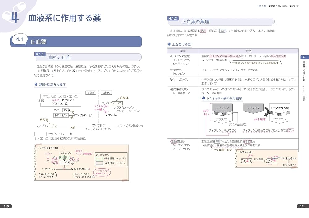 薬ゼミの要点集　9科目セット　裁断済み 短い時間で総復習できる「薬ゼミの要点集」好評発売中！ - 薬学