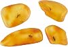 Natural Fossil Baltic Amber Insects from Millions of Years Ago 4 Sets Real Insect Samples Science Education Animal Specimens Small Amber Insects