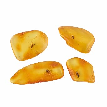 Natural Fossil Baltic Amber Insects from Millions of Years Ago 4 Sets Real Insect Samples Science Education Animal Specimens (Small Amber Insects)