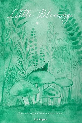 Little Blessings The world as seen from my back porch.