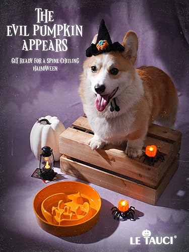 Vista 55 de LE TAUCI Cuencos de cerámica para perros de alimentación lenta, 3 tazas de alimentación lenta, tazón para perros de raza mediana y grande, cuenco