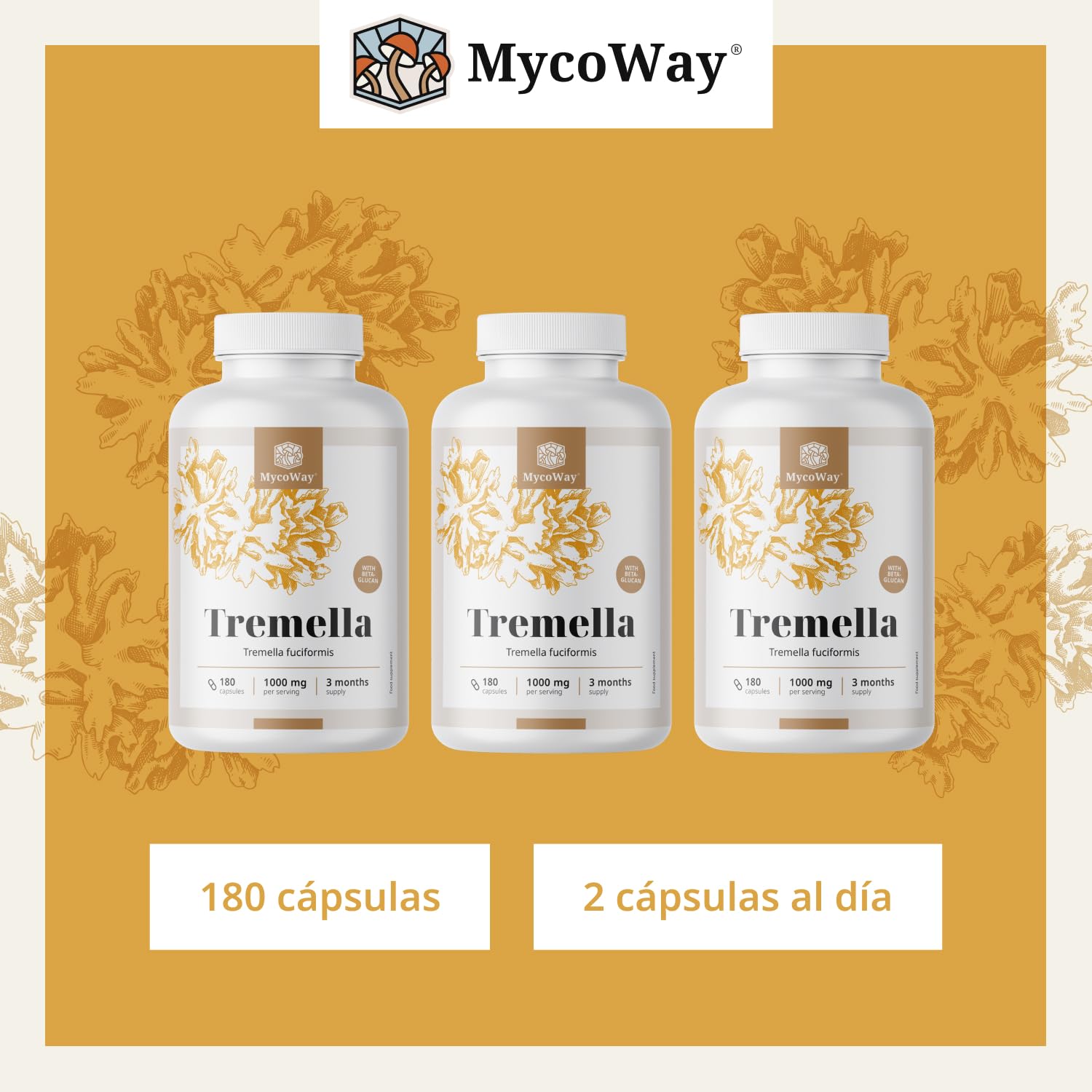 Tremella 1000 mg – Extracto – Tremella Fuciformis – 180 cápsulas vegetales – 10% de betaglucano – «Hongo de la belleza» asiático – Hidratante natural