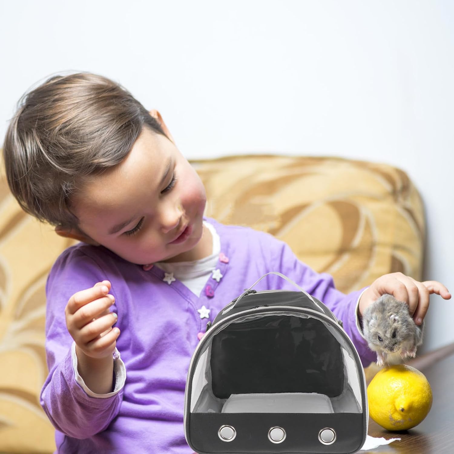 Beaupretty Small Animal Carrier Bag for Hamster Hedgehog Guinea Pig Portable Breathable Travel Pouch with Window Black for Outdoor Pet Transport