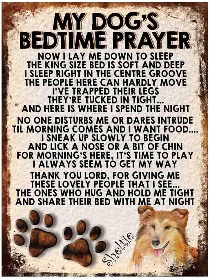 MY DOG'S BEDTIME PRAYER RETRO STYLE METAL TIN SIGN/PLAQUE DOG BREEDS (Sheltie), 8" x 6"