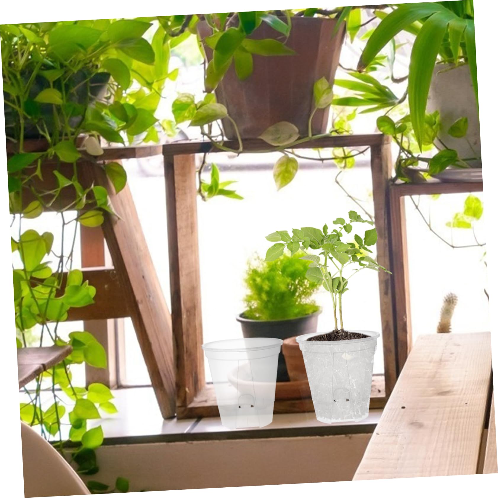 6pièces Pots De Plastique Transparent avec Drainage à Orchidées Respirants pour Plantes Intérieur Et Circulation De Air pour Orchidées Et Plantes