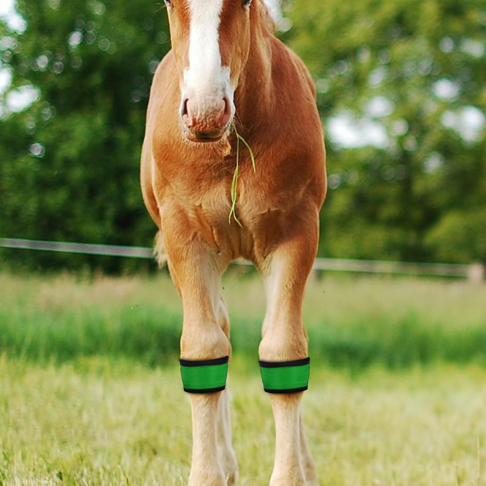 4 Stück LED Leuchtende Pferdebeinbänder, Hohe Sichtbarkeit, Reflektierende Riemen, Nachtsicherheitsausrüstung Für Reiten, Reitausrüstung
