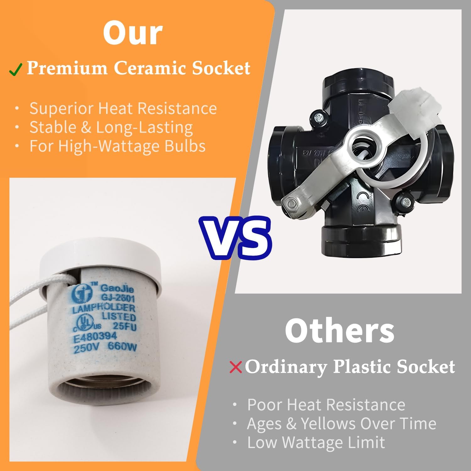 ボリビア産 ナンベイオオタガメ 112mm(管まで) ボリビア産 ナンベイ