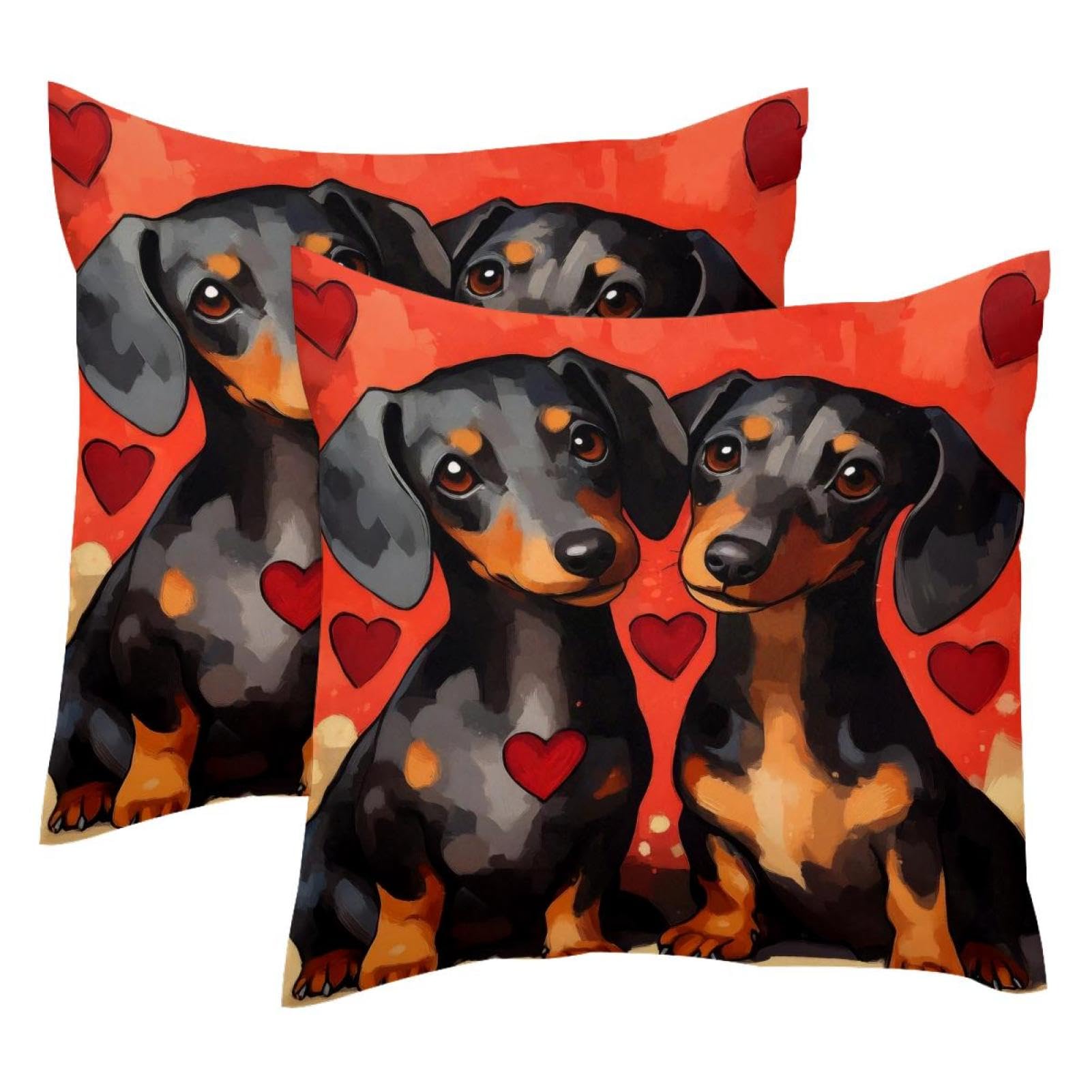 Rénover vos vieux coussins 50x50 avec ces housses velours motif chien