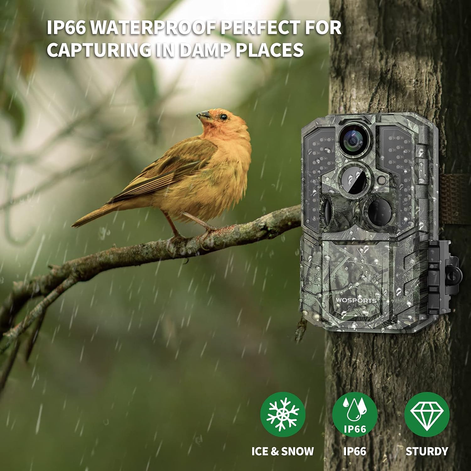 WOSPORTS Trail Camera,36MP 4K 0.2S Trigger Motion Activated,Game Hunting Camera with Night Vision IP66 Waterproof 2.0''LCD 120°Wide Camera Lens for Outdoor Scouting Wildlife Monitoring Home Security : Sports & Outdoors