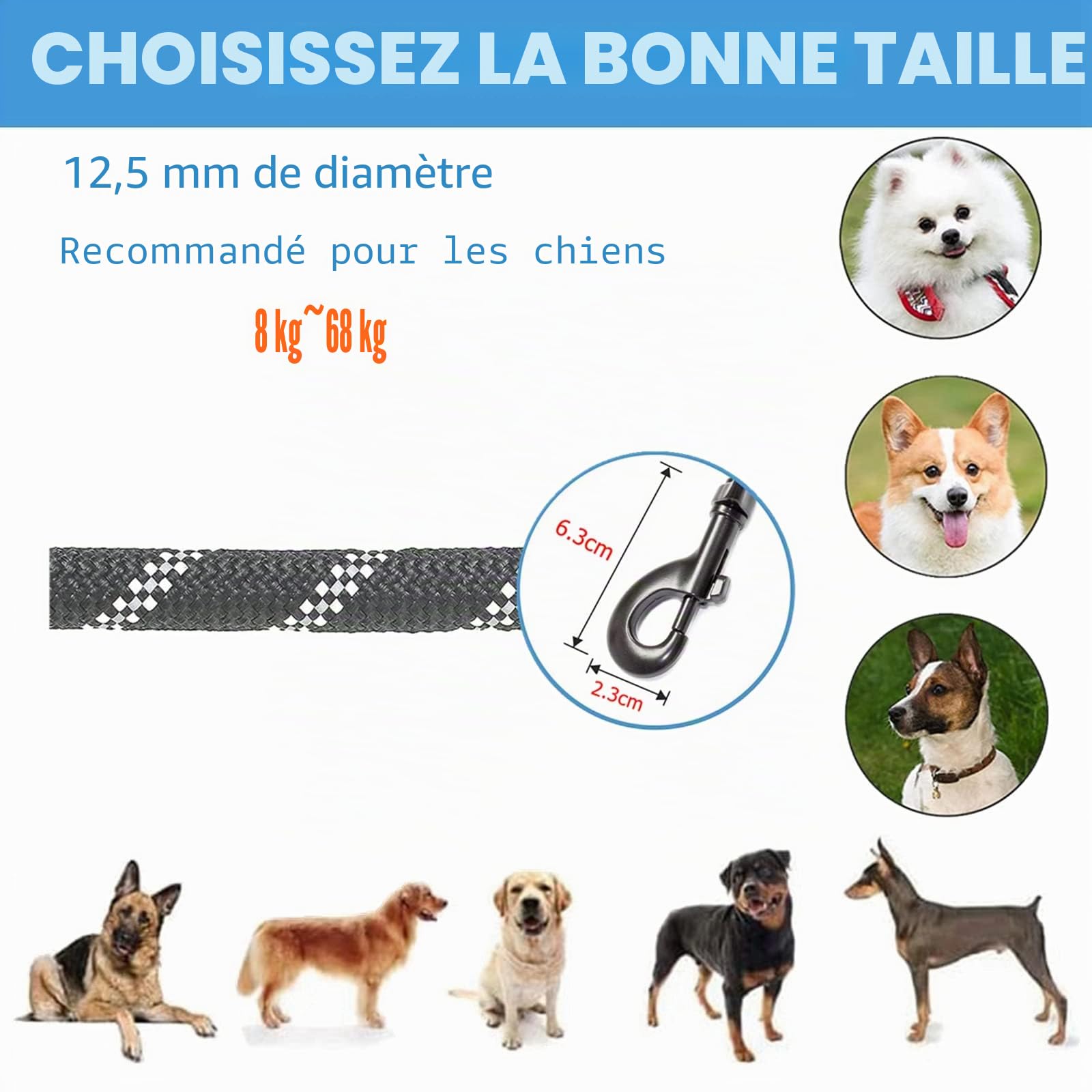 Laisse Chien, 180cm Durable Laisse Chien avec Poignée Double et Fils Réfléchissants pour Chiens Petits Moyens et Grands Marche et Courir (Noir)