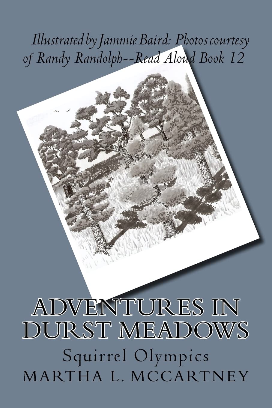 Adventures in Durst Meadows: Squirrel Olympics: 12