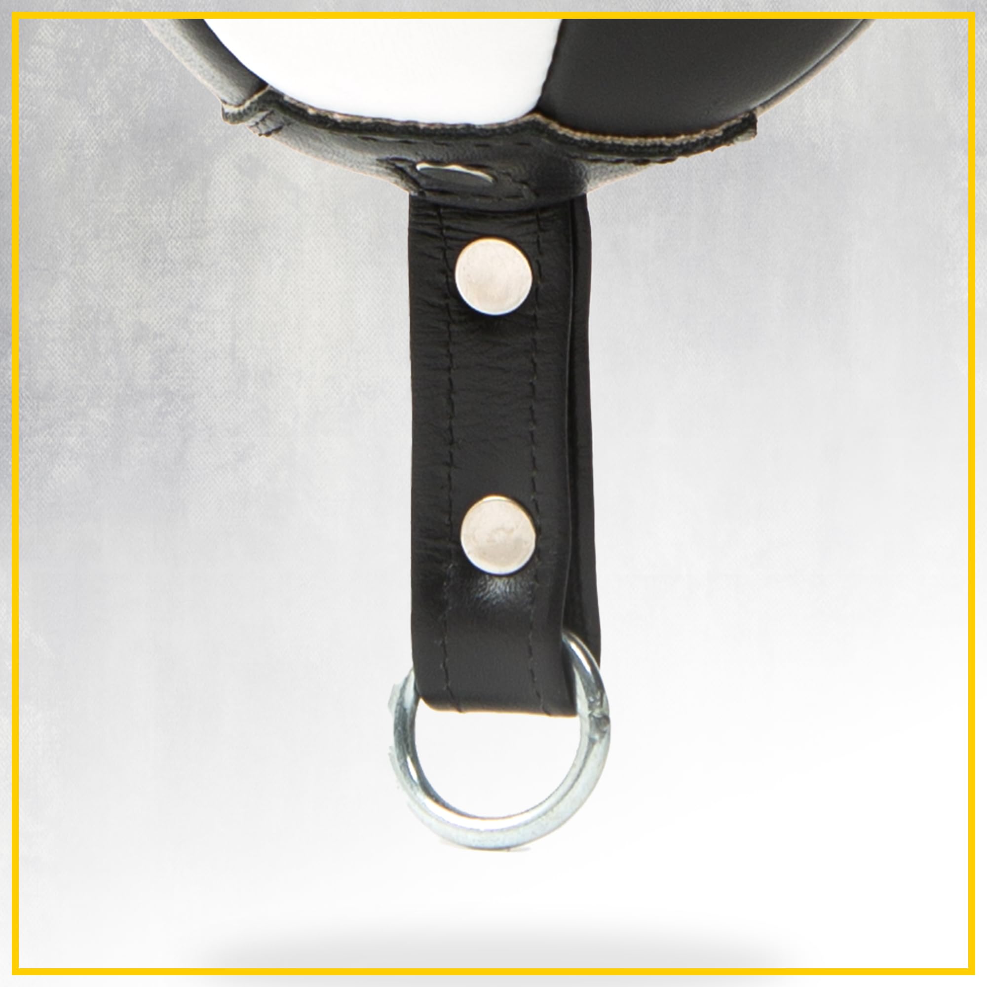 Everlast Unisex - Adult 1910 Double End Speed Bag Punching