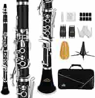 Clarinetto Portatile In Sib Professionale - Con Accessori, Ideale Per Bambini E Principianti