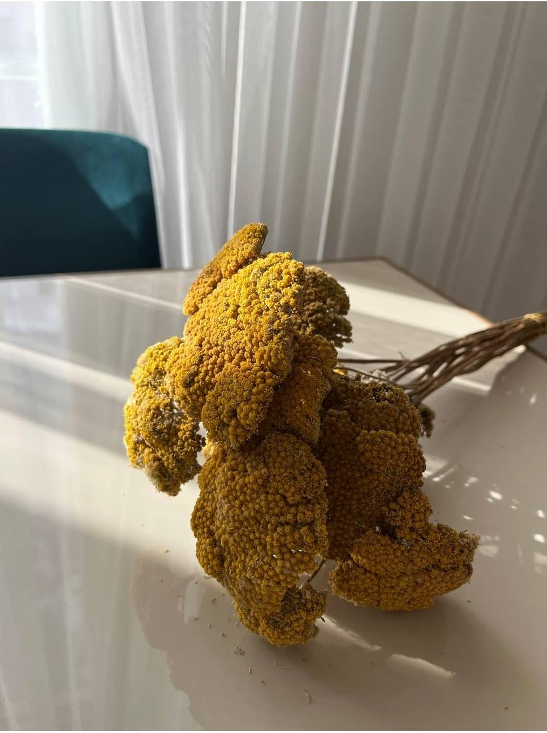Dried Flowers Yarrow Bunch Yellow Floral Arrangement Home Decor Craft Supply - Yellow