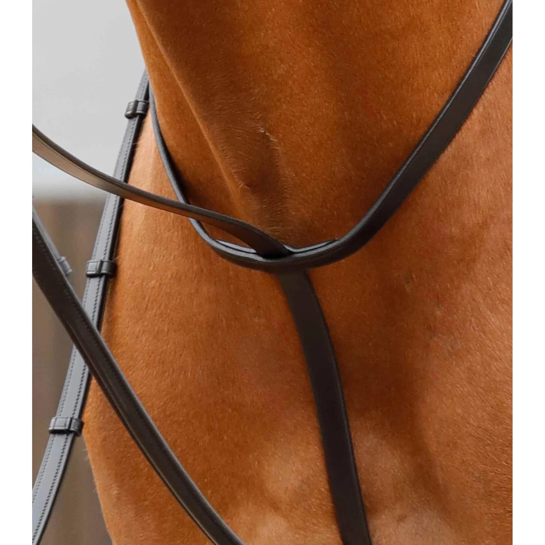 Premier Equine Martingala per Cavalli Gressan