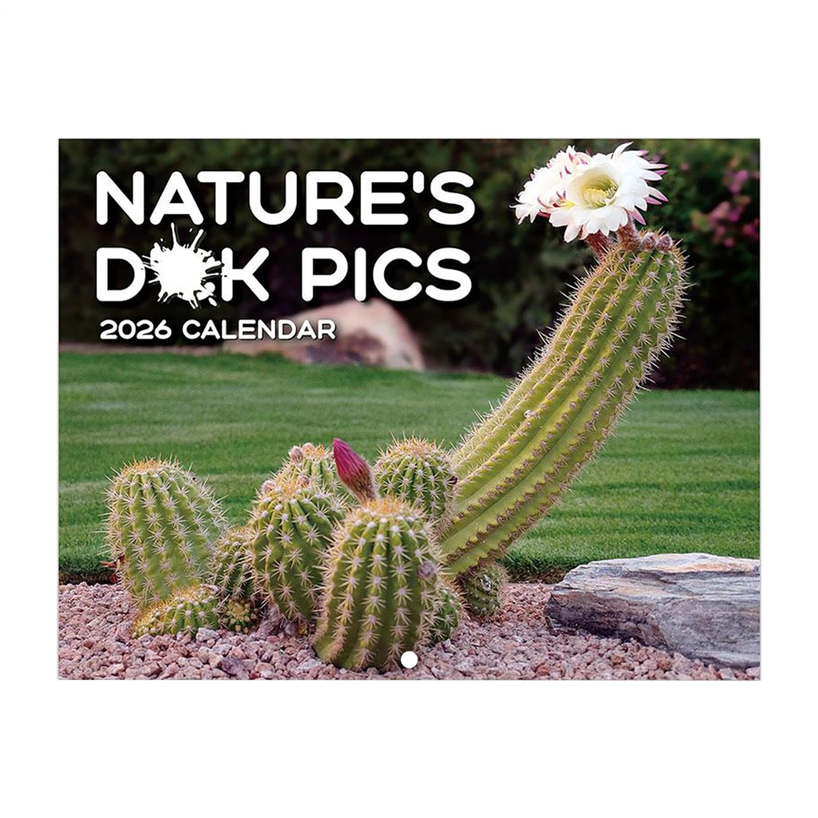 Natures D*cks Calendar 2026, Inappropriate Calendar 2026, Funny Wall Calendars For Adults, Prank Gag Gift