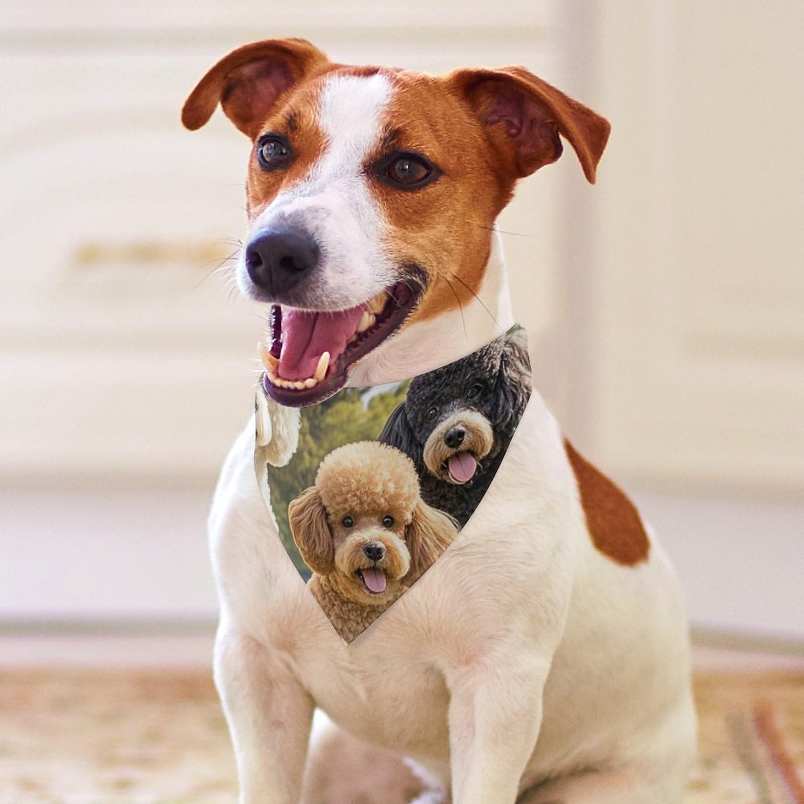 Barboncini DogsPet Sciarpa Bandana per cani taglia piccola media grande triangolo tessuto alta qualità