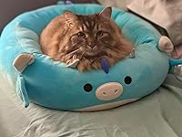 Review Image by Kristen Kristen