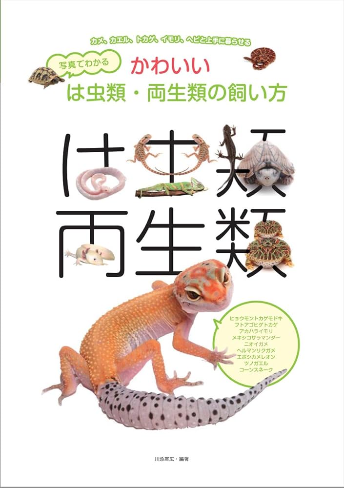 【中古】 カメ・カエルなど両生類・は虫類の飼い方 ヘビもトカゲもカエルもみんな友だち/成美堂出版/富田京一 カメ・カエルなど両生類は虫類の飼い方」 ヘビもトカゲもカエル