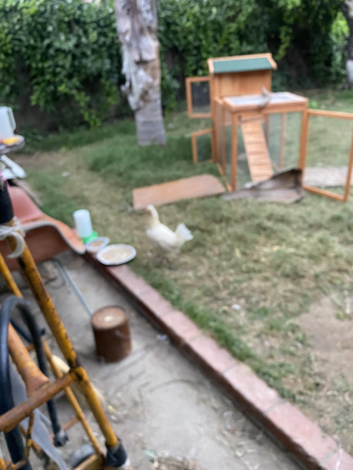 32/mo Finance Ogrmar Chicken Coop Large Wooden Outdoor Bunny Rabbit