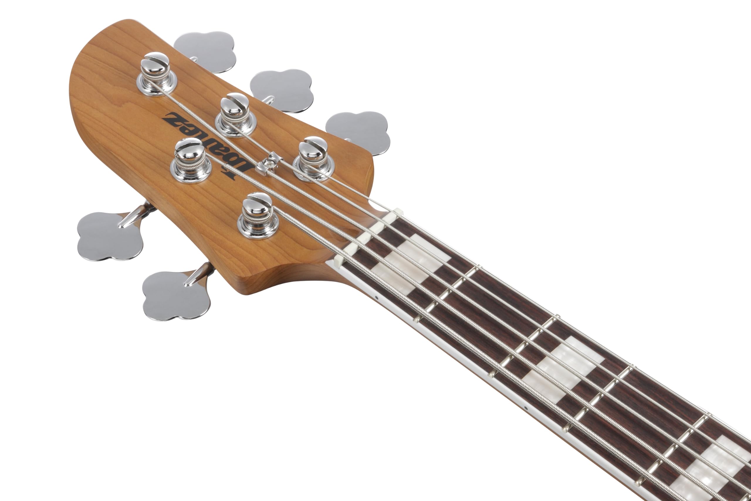 Ibanez Talman TMB405TA-CBS Cosmic Blue - Gitara basowa 5 strunowa
