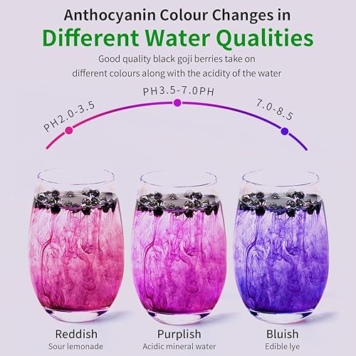 Miniatura 6 de Hee Creek Super Grade Black Goji Berry Black Wolfberry Tea 7.76oz/220g Té de bayas de Goji silvestres naturales sin cafeína, té de hierbas chinas